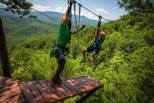 Tree top tour – Koh Samui