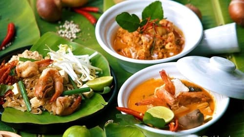 Thai Cooking Class & Organic Micro Farm Experience – Koh Samui